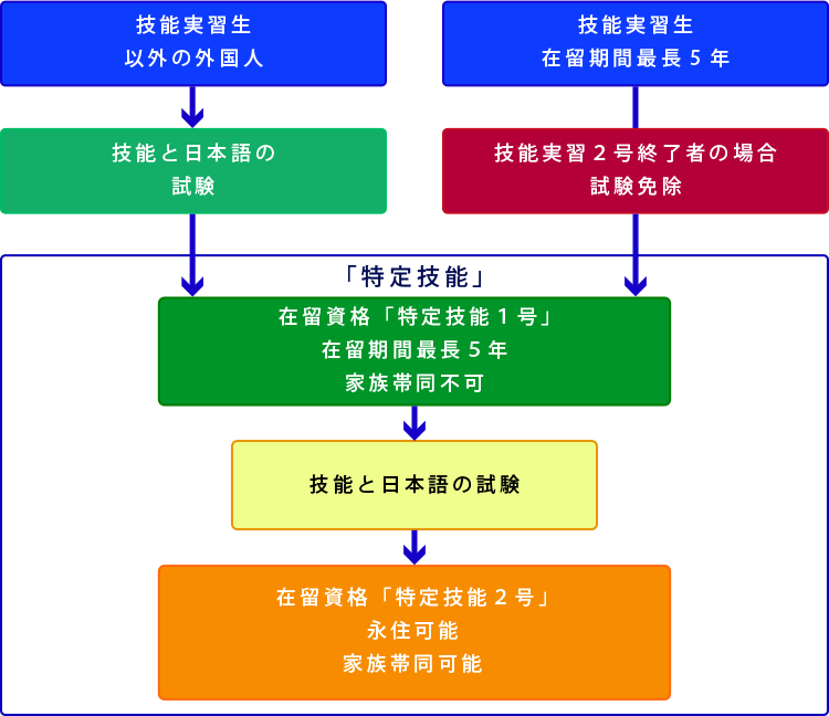 技能実習生と特定技能の違い図